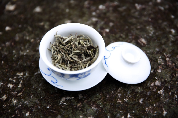 TeeMaa Baihao Yinzhen (Hopeaneula)